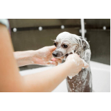 Banho Natural para Cachorro