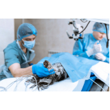 cirurgia ortopedia veterinária marcar Cruzeiro