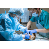 cirurgia veterinária castração marcar Guara