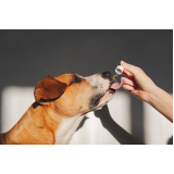clínica especializada em homeopatia cachorro Cruzeiro Velho