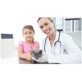 clínica especializada em neurologia para cães e gatos ZE Zona Especial