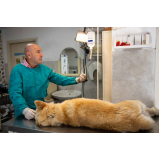 clínica especializada em ozonioterapia para cachorros e gatos Zona Industrial