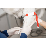 clínica especializada em ozonioterapia para pet Condomínio Alphavile