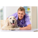 clínica geral medicina veterinária endereço SAAN