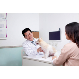 clínica veterinária animal contato Distrito Federal