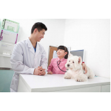 clínica veterinária animal ERL Norte