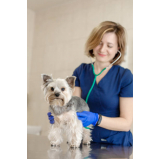 clínica veterinária cães e gatos contato Águas claras
