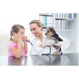 clínica veterinária e pet shop Octogonal