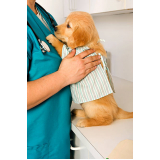 clínica veterinária integrativa animal telefone DF