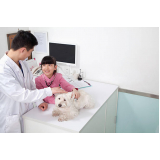contato de clínica veterinária e pet shop Lago