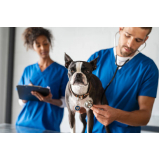 contato de clínica veterinária pequenos animais Plano Piloto