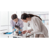 dermatologia em cães e gatos Lago
