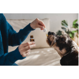 homeopatia para cães tratamento SIA