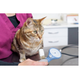medicina integrativa animal SIA