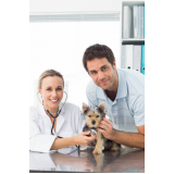 neurologia para cachorro clínica Vicente Pires