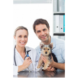 neurologia para cachorro Condomínio Alphavile