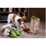 nutrição veterinária canina ZR Zona Residencial
