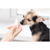 oftalmologista para cães agendar Condomínio Quintas da Alvorada