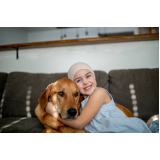 oncologia em cães Cruzeiro Velho