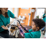 oncologia para cães Condomínio Quintas da Alvorada