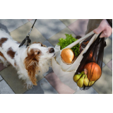 onde agendar nutrição veterinária para cachorros Sobradinho