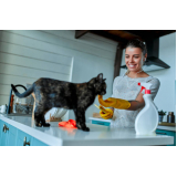 onde agendar nutrição veterinária para gatos e cachorros SCN SETOR COMERCIAL NORTE
