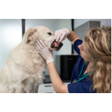 onde tem odontologia para cachorro AVENIDA W3