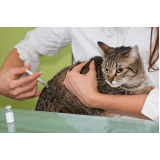 onde tem vacina contra raiva gato Eixo Rodoviário Oeste