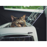 pet shop para gatos telefone Esplanada dos Ministérios