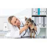 telefone de clínica veterinária integrativa animal Setor Sudoeste