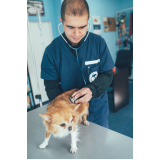telefone de clínica veterinária integrativa cachorros Altiplano Leste