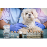 tratamento de homeopatia para animais de estimação ERL Norte