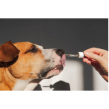 tratamento de homeopatia para cães Esplanada dos Ministérios