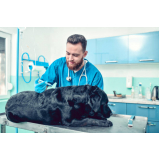 vacina antirrábica para cães agendar Zona Industrial