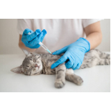 vacina de raiva gato agendar Distrito Federal