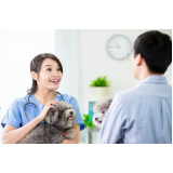 veterinário especialista em cachorros contato Sh Arniqueiras