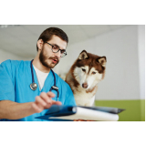 veterinário especializado em cães contato Cruzeiro Velho