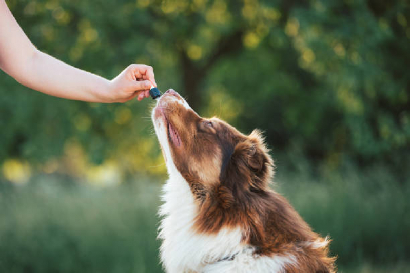 Tratamento de Homeopatia Animal PTP Praça dos Três Poderes - Homeopatia para Animais de Estimação