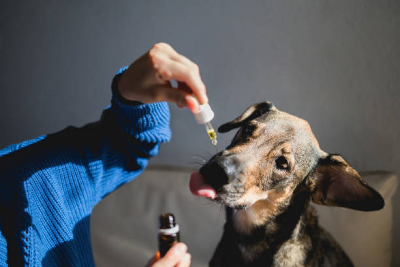 Tratamento de Homeopatia para Animais Cruzeiro Novo - Homeopatia Animal
