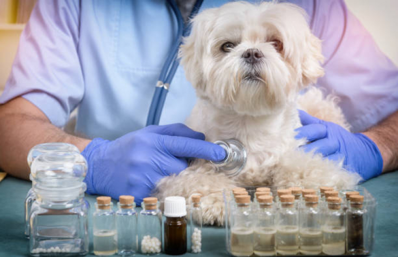 Tratamento de Homeopatia para Cachorros EPJK Estrada Parque Juscelino Kubitschek - Homeopatia para Pets
