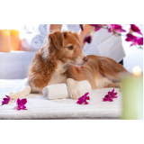 clínica especializada em naturopatia para cães e gatos Eixo Rodoviário Norte