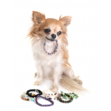 clínica especializada em naturopatia para pet Núcleo Bandeirante
