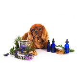 naturopatia cachorro agendar Eixo Rodoviário Leste