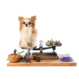 naturopatia cachorro EPUB Estrada Parque Universidade de Brasília