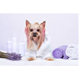 naturopatia para cachorros agendar EPNA Estrada Parque das Nações