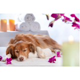 onde tem naturopatia animal Águas Claras